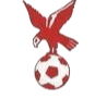 https://img.wj16.com/img/football/team/4802d26df935b78bb2fcdbbff36e8864.png