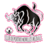 https://img.wj16.com/img/football/team/97c3ef30cac48cadff97605e387feefa.png